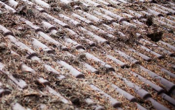 Miles Cross roof cleaning companies