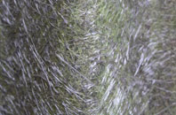 Miles Cross fibreglass roof work